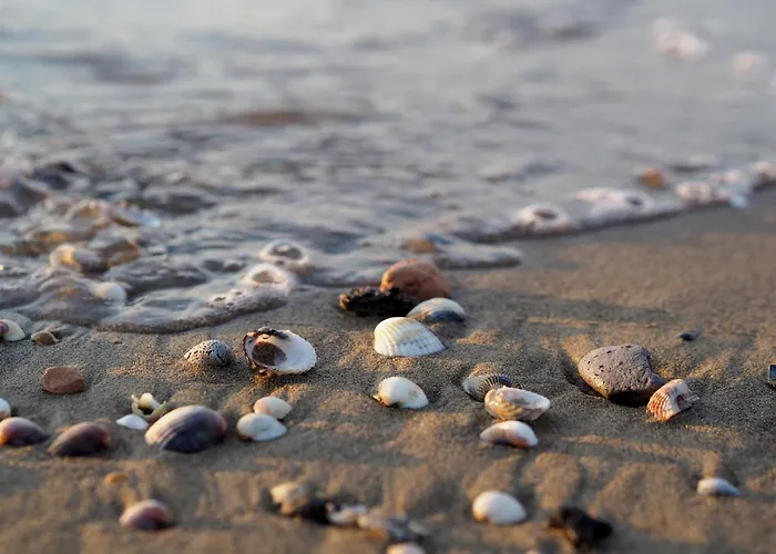 Apartment Two-level Flat With Garden And Pool